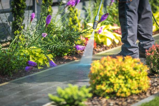 Best Boat and Dock Cleaning  in Altoona, IA